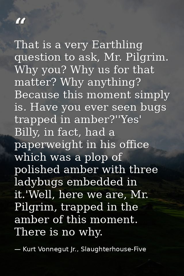 That is a very Earthling question to ask, Mr. Pilgrim. Why you? Why us for that matter? Why anything? Because this momen — Kurt Vonnegut Jr., Slaughterhouse-Five
