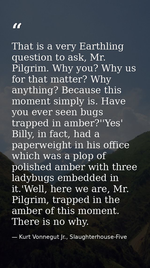 That is a very Earthling question to ask, Mr. Pilgrim. Why you? Why us for that matter? Why anything? Because this momen — Kurt Vonnegut Jr., Slaughterhouse-Five