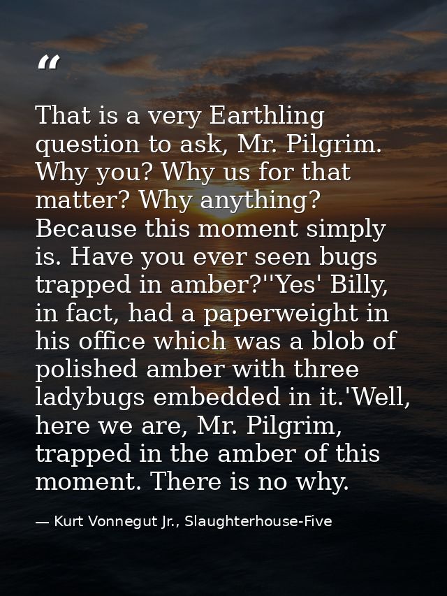 That is a very Earthling question to ask, Mr. Pilgrim. Why you? Why us for that matter? Why anything? Because this momen — Kurt Vonnegut Jr., Slaughterhouse-Five