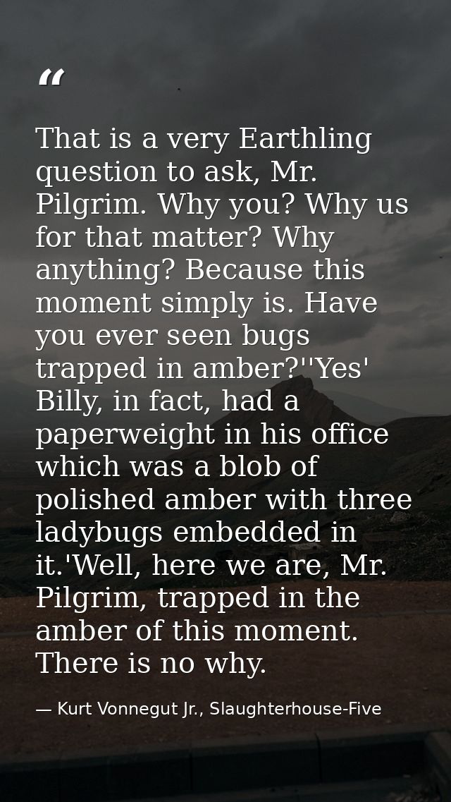 That is a very Earthling question to ask, Mr. Pilgrim. Why you? Why us for that matter? Why anything? Because this momen — Kurt Vonnegut Jr., Slaughterhouse-Five