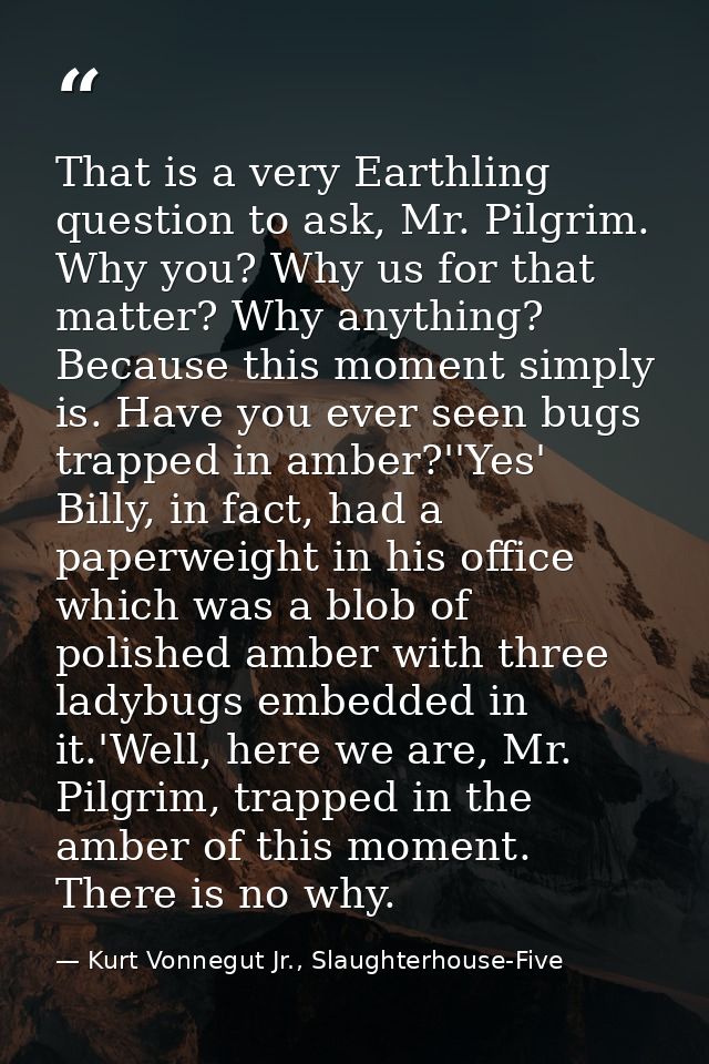 That is a very Earthling question to ask, Mr. Pilgrim. Why you? Why us for that matter? Why anything? Because this momen — Kurt Vonnegut Jr., Slaughterhouse-Five