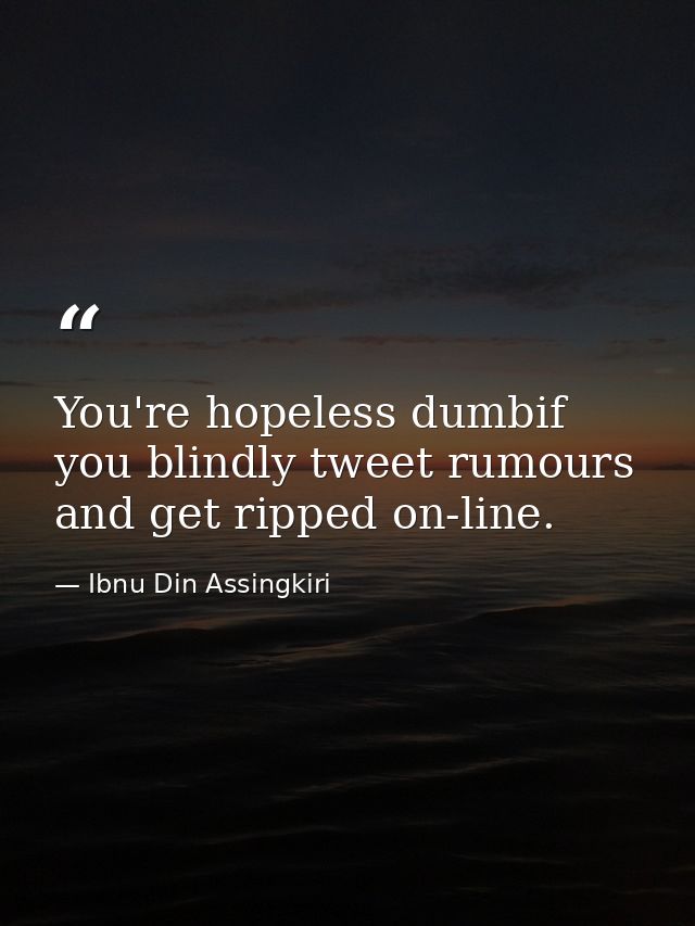 You're hopeless dumbif you blindly tweet rumours and get ripped on-line. — Ibnu Din Assingkiri