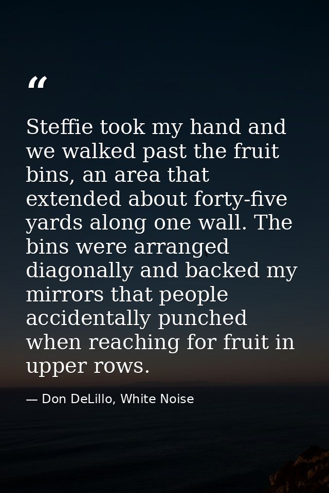 Steffie took my hand and we walked past the fruit bins, an area that extended about forty-five yards along one wall. The — Don DeLillo, White Noise