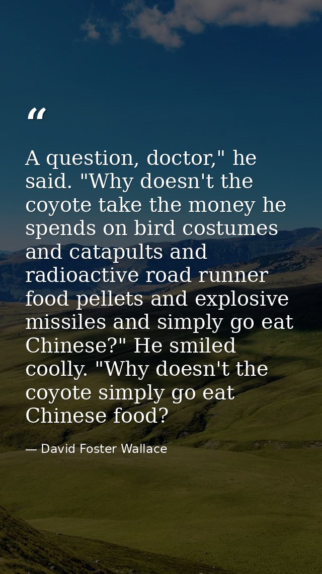 A question, doctor," he said. "Why doesn't the coyote take the money he spends on bird costumes and catapults and radioa — David Foster Wallace