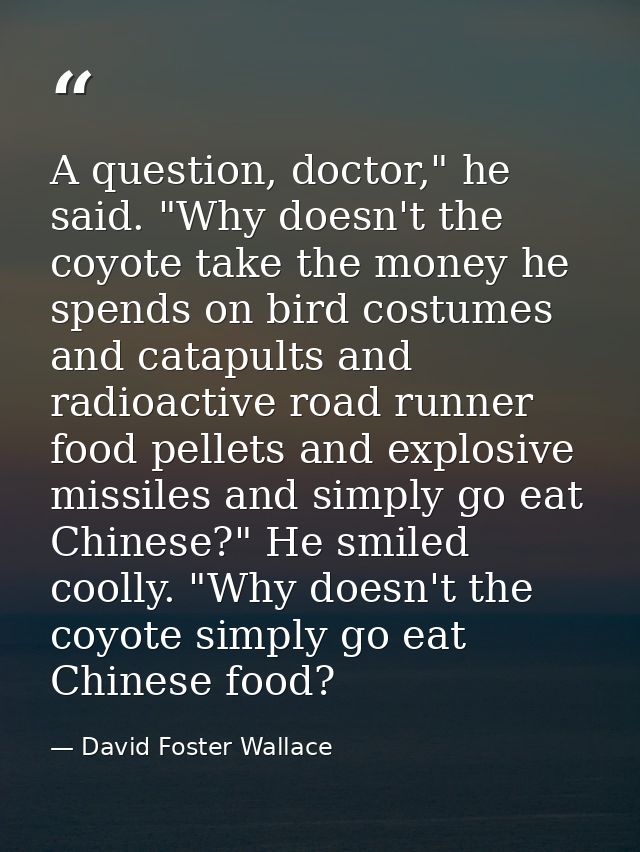 A question, doctor," he said. "Why doesn't the coyote take the money he spends on bird costumes and catapults and radioa — David Foster Wallace