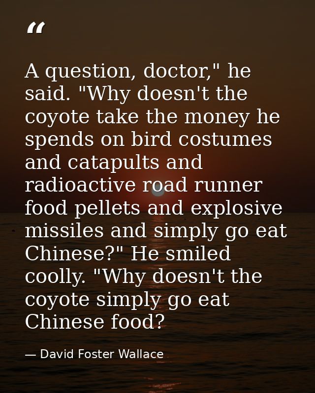 A question, doctor," he said. "Why doesn't the coyote take the money he spends on bird costumes and catapults and radioa — David Foster Wallace