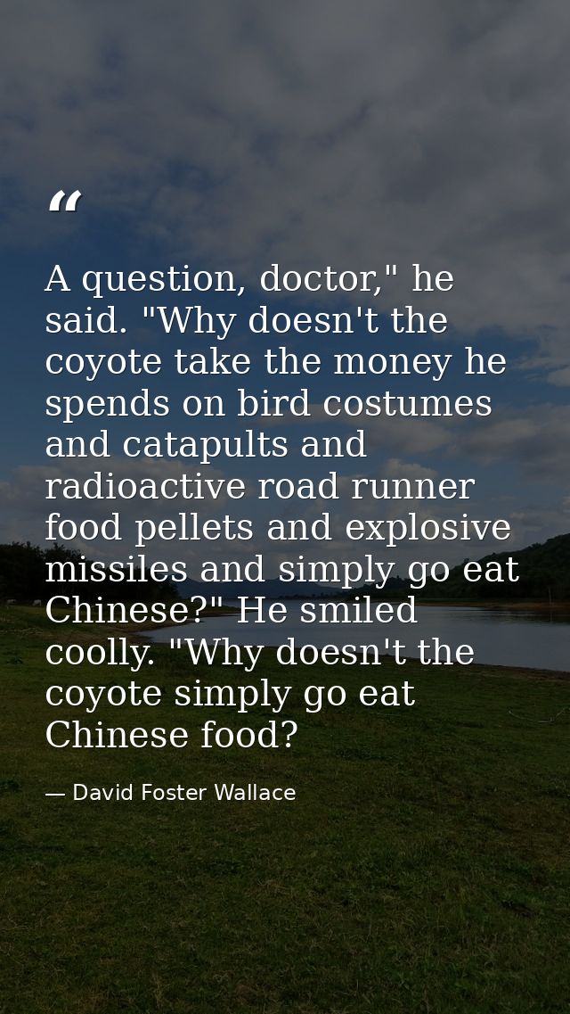 A question, doctor," he said. "Why doesn't the coyote take the money he spends on bird costumes and catapults and radioa — David Foster Wallace