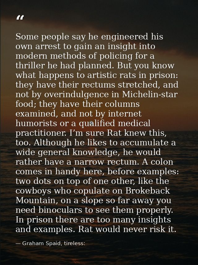 Some people say he engineered his own arrest to gain an insight into modern methods of policing for a thriller he had pl — Graham Spaid, tireless: