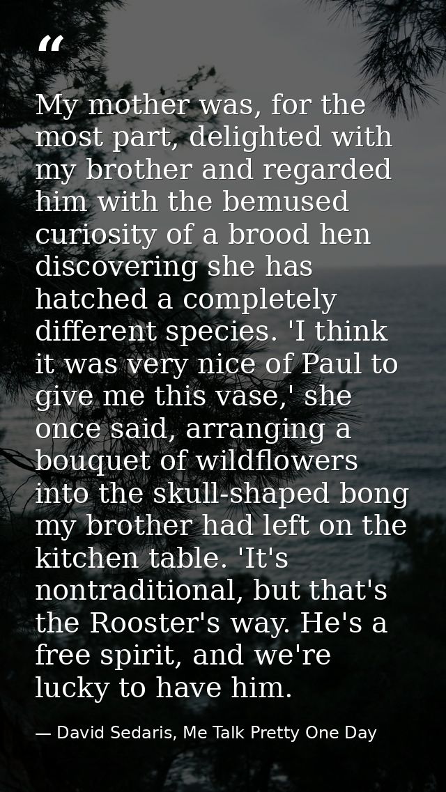 My mother was, for the most part, delighted with my brother and regarded him with the bemused curiosity of a brood hen d — David Sedaris, Me Talk Pretty One Day