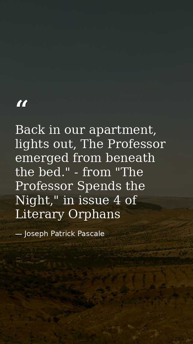 Back in our apartment, lights out, The Professor emerged from beneath the bed." - from "The Professor Spends the Night," — Joseph Patrick Pascale