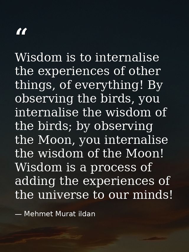 Wisdom is to internalise the experiences of other things, of everything! By observing the birds, you internalise the wis — Mehmet Murat ildan
