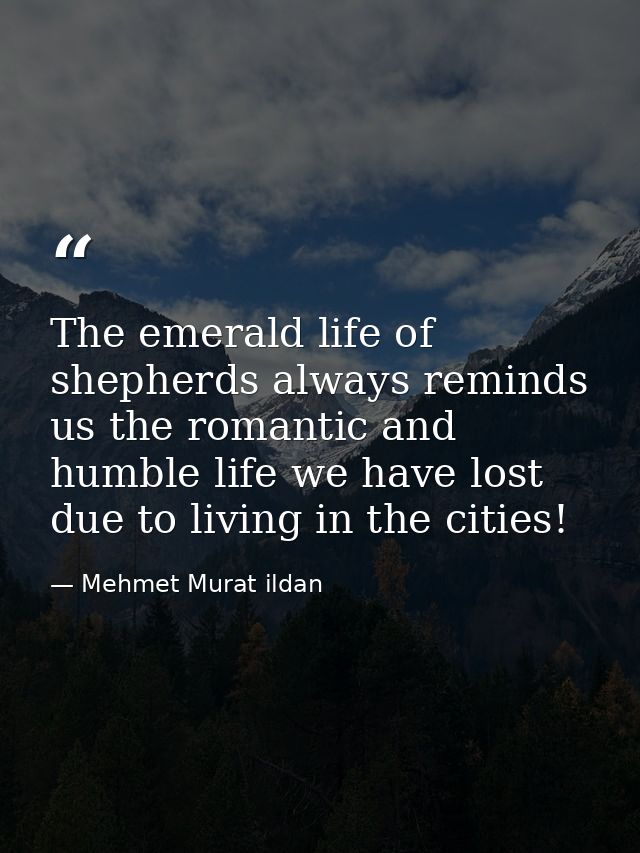 The emerald life of shepherds always reminds us the romantic and humble life we have lost due to living in the cities! — Mehmet Murat ildan