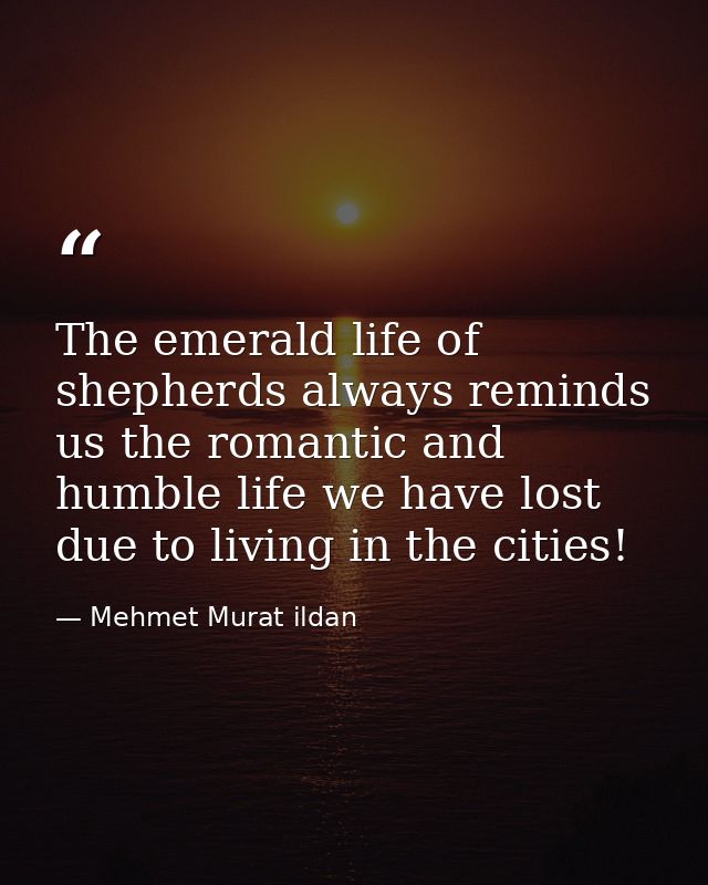 The emerald life of shepherds always reminds us the romantic and humble life we have lost due to living in the cities! — Mehmet Murat ildan