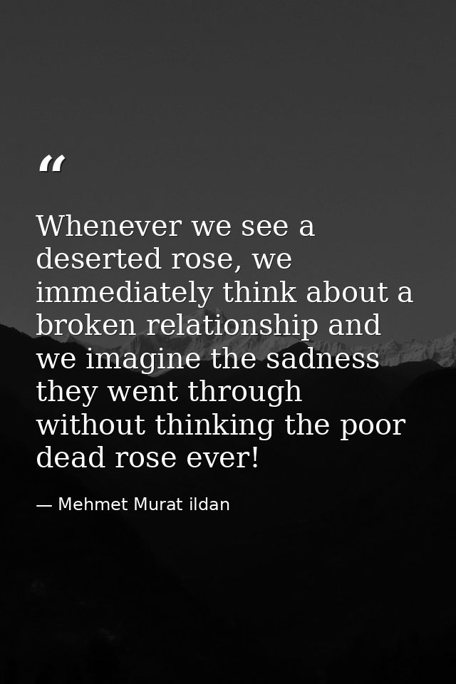 Whenever we see a deserted rose, we immediately think about a broken relationship and we imagine the sadness they went t — Mehmet Murat ildan