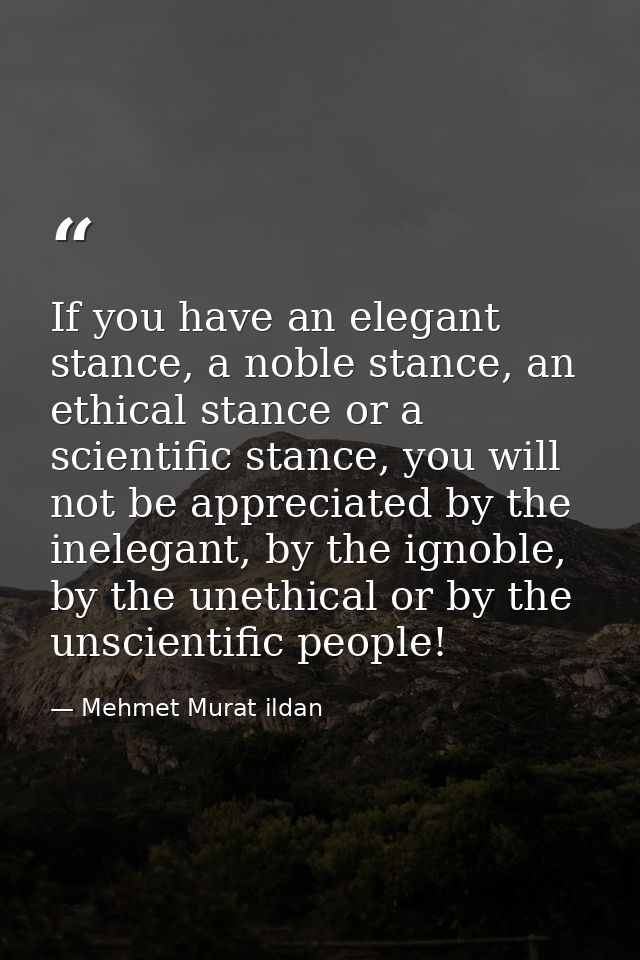 If you have an elegant stance, a noble stance, an ethical stance or a scientific stance, you will not be appreciated by  — Mehmet Murat ildan