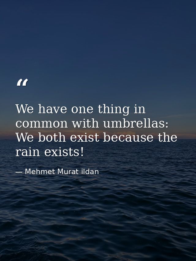 We have one thing in common with umbrellas: We both exist because the rain exists! — Mehmet Murat ildan