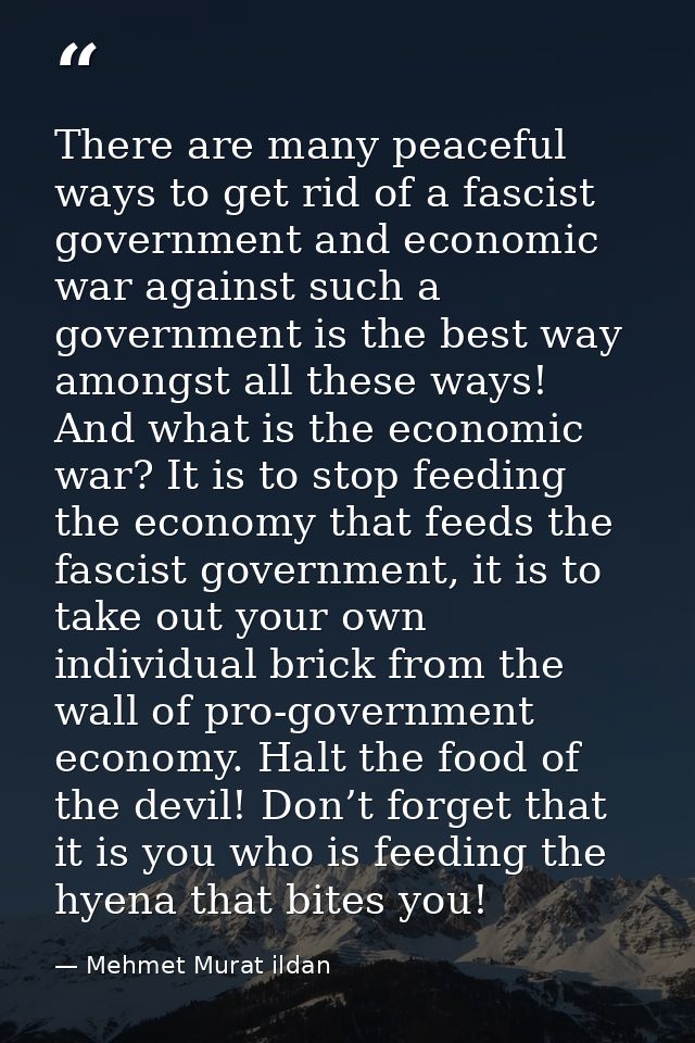 There are many peaceful ways to get rid of a fascist government and economic war against such a government is the best w — Mehmet Murat ildan