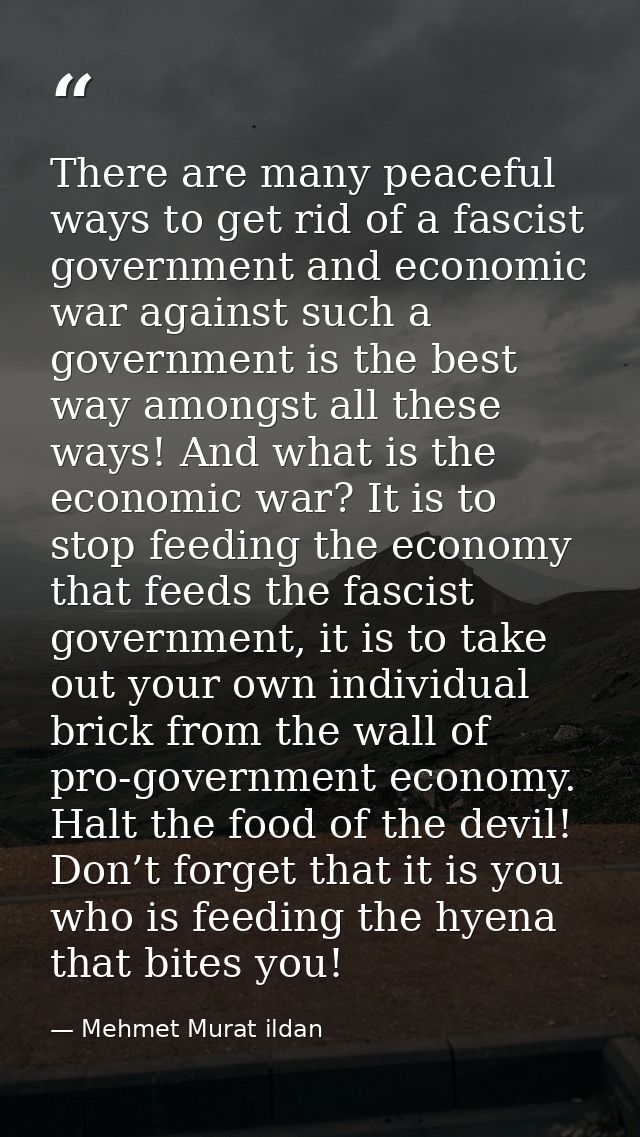 There are many peaceful ways to get rid of a fascist government and economic war against such a government is the best w — Mehmet Murat ildan