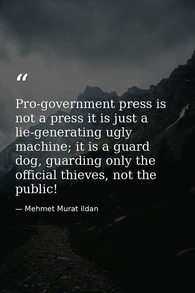 Pro-government press is not a press it is just a lie-generating ugly machine; it is a guard dog, guarding only the offic — Mehmet Murat ildan