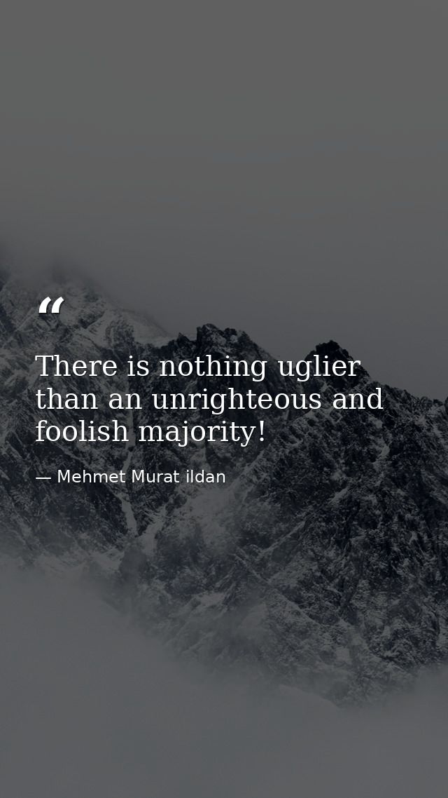 There is nothing uglier than an unrighteous and foolish majority! — Mehmet Murat ildan