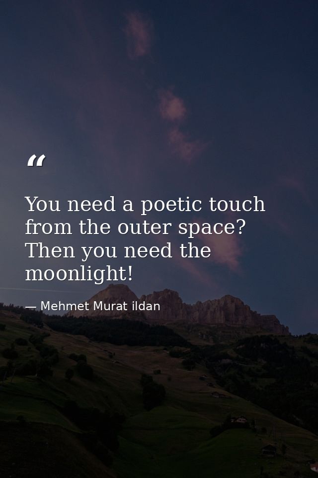 You need a poetic touch from the outer space? Then you need the moonlight! — Mehmet Murat ildan