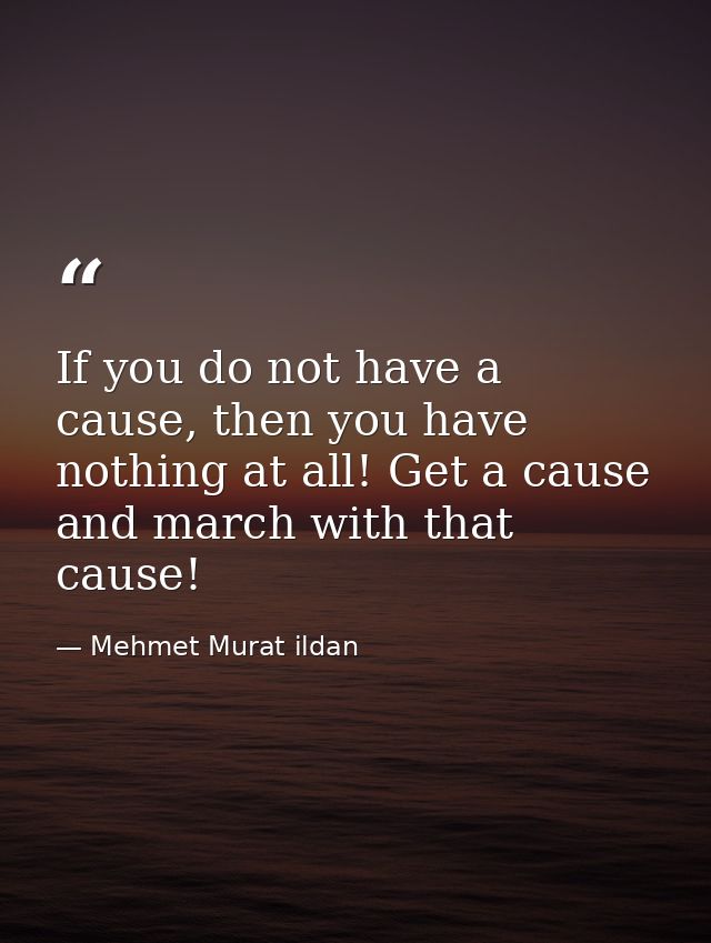 If you do not have a cause, then you have nothing at all! Get a cause and march with that cause! — Mehmet Murat ildan