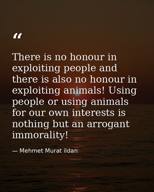 There is no honour in exploiting people and there is also no honour in exploiting animals! Using people or using animals — Mehmet Murat ildan