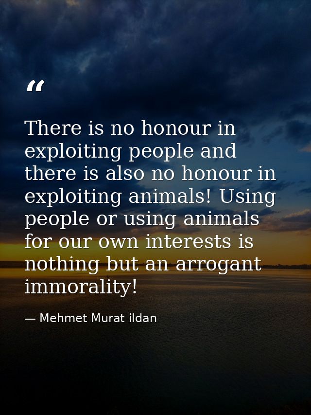There is no honour in exploiting people and there is also no honour in exploiting animals! Using people or using animals — Mehmet Murat ildan