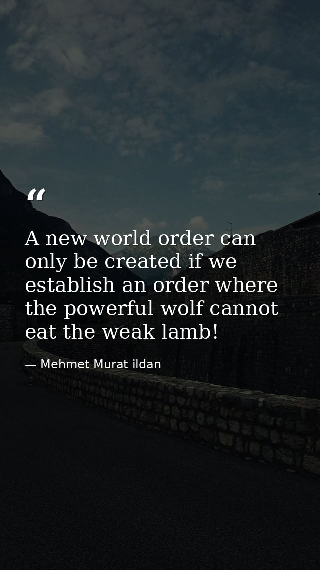 A new world order can only be created if we establish an order where the powerful wolf cannot eat the weak lamb! — Mehmet Murat ildan