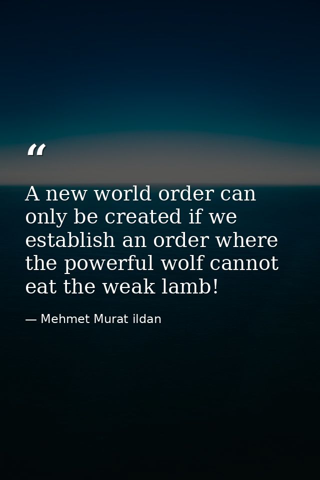 A new world order can only be created if we establish an order where the powerful wolf cannot eat the weak lamb! — Mehmet Murat ildan
