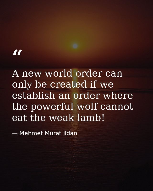 A new world order can only be created if we establish an order where the powerful wolf cannot eat the weak lamb! — Mehmet Murat ildan