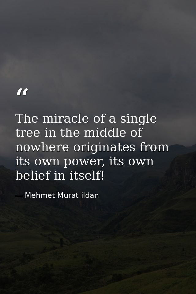 The miracle of a single tree in the middle of nowhere originates from its own power, its own belief in itself! — Mehmet Murat ildan