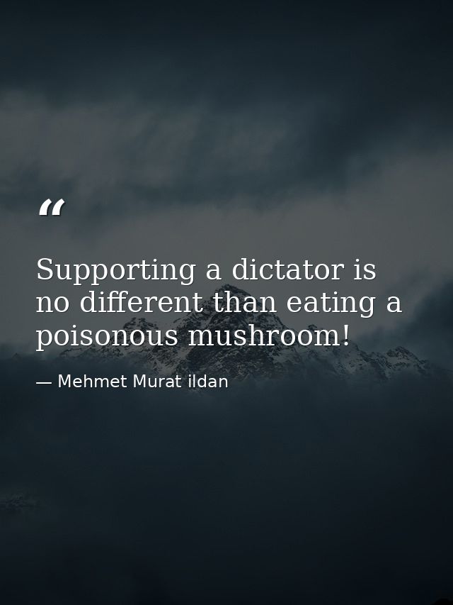Supporting a dictator is no different than eating a poisonous mushroom! — Mehmet Murat ildan