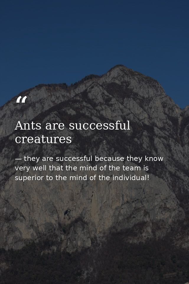 Ants are successful creatures — they are successful because they know very well that the mind of the team is superior to the mind of the individual!