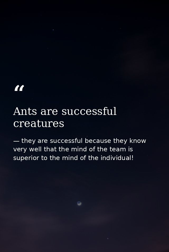 Ants are successful creatures — they are successful because they know very well that the mind of the team is superior to the mind of the individual!