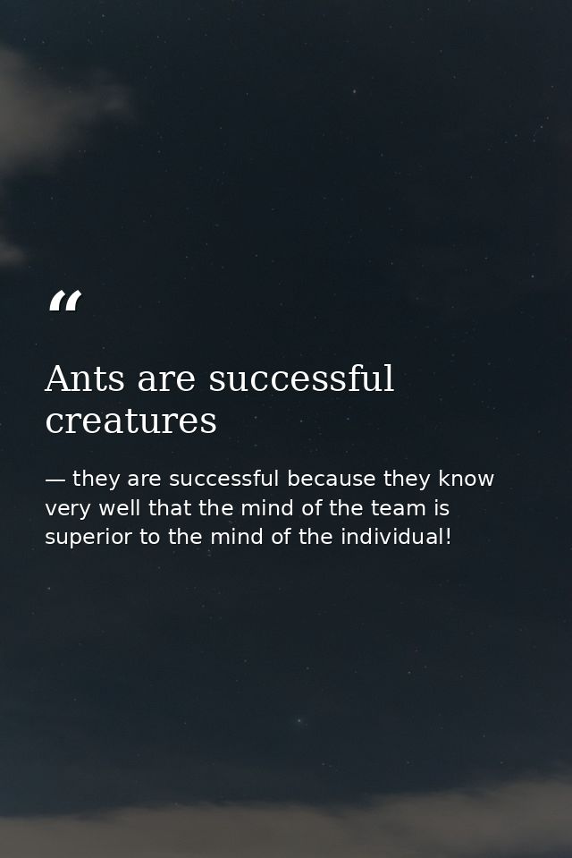 Ants are successful creatures — they are successful because they know very well that the mind of the team is superior to the mind of the individual!
