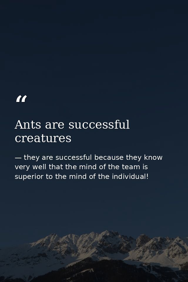 Ants are successful creatures — they are successful because they know very well that the mind of the team is superior to the mind of the individual!