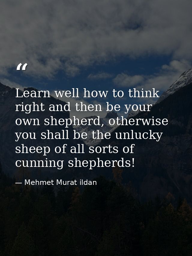 Learn well how to think right and then be your own shepherd, otherwise you shall be the unlucky sheep of all sorts of cu — Mehmet Murat ildan