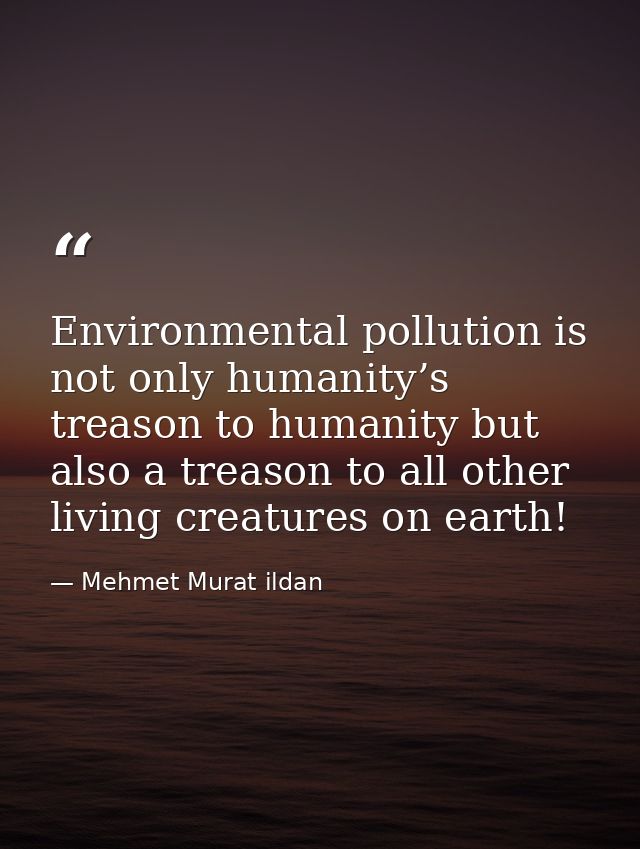 Environmental pollution is not only humanity’s treason to humanity but also a treason to all other living creatures on e — Mehmet Murat ildan
