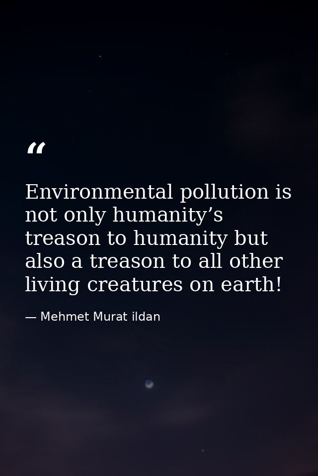 Environmental pollution is not only humanity’s treason to humanity but also a treason to all other living creatures on e — Mehmet Murat ildan