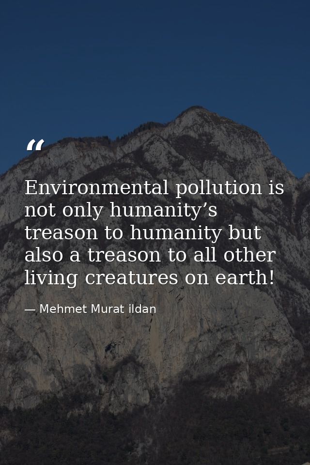 Environmental pollution is not only humanity’s treason to humanity but also a treason to all other living creatures on e — Mehmet Murat ildan