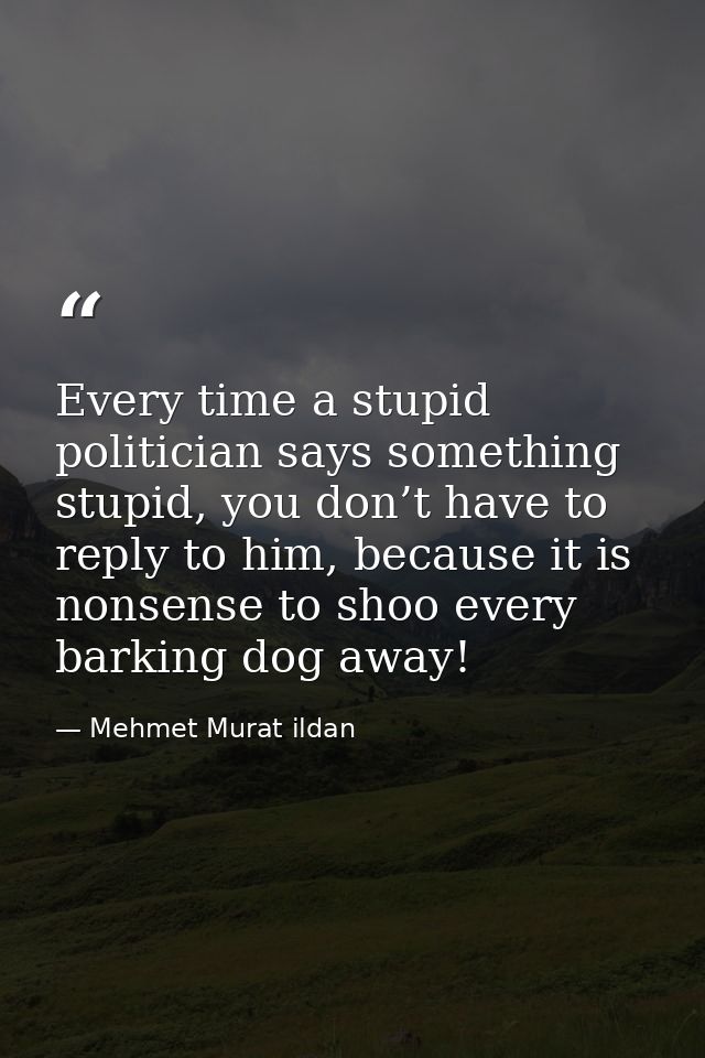 Every time a stupid politician says something stupid, you don’t have to reply to him, because it is nonsense to shoo eve — Mehmet Murat ildan