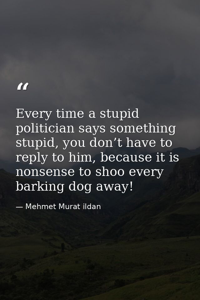 Every time a stupid politician says something stupid, you don’t have to reply to him, because it is nonsense to shoo eve — Mehmet Murat ildan