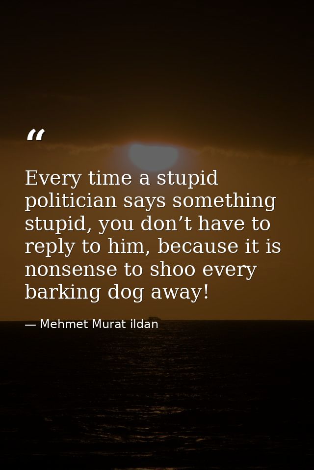 Every time a stupid politician says something stupid, you don’t have to reply to him, because it is nonsense to shoo eve — Mehmet Murat ildan