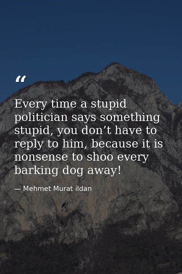 Every time a stupid politician says something stupid, you don’t have to reply to him, because it is nonsense to shoo eve — Mehmet Murat ildan