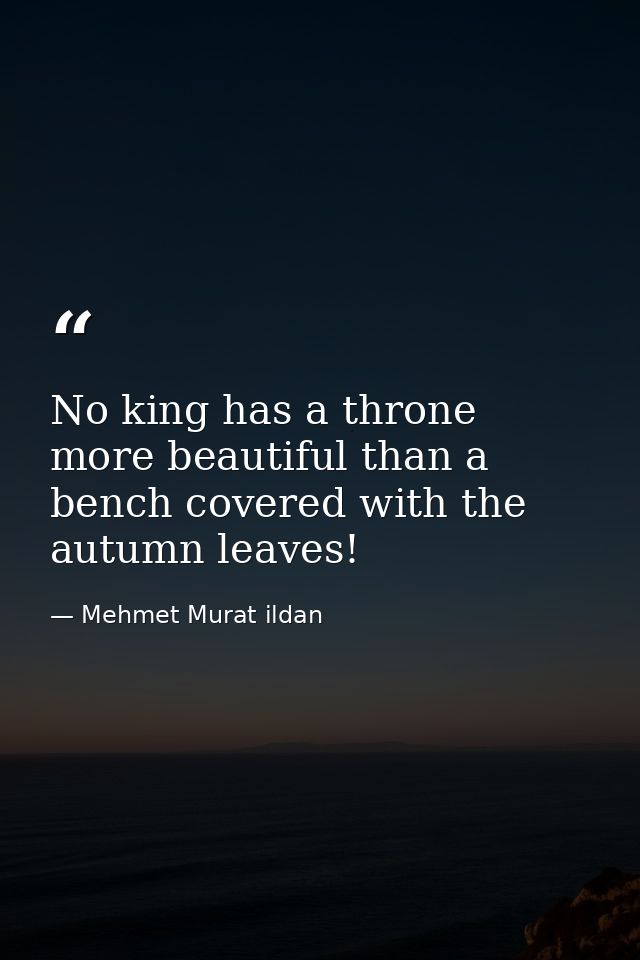 No king has a throne more beautiful than a bench covered with the autumn leaves! — Mehmet Murat ildan