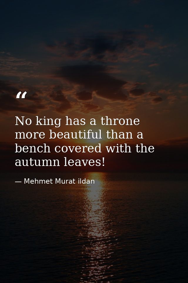 No king has a throne more beautiful than a bench covered with the autumn leaves! — Mehmet Murat ildan