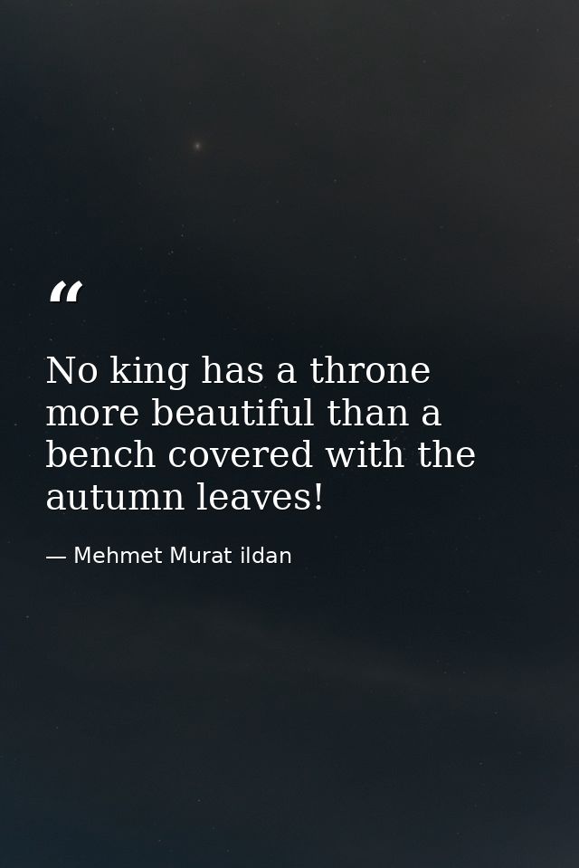 No king has a throne more beautiful than a bench covered with the autumn leaves! — Mehmet Murat ildan