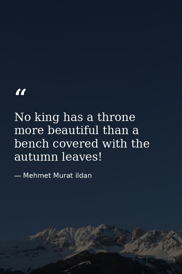 No king has a throne more beautiful than a bench covered with the autumn leaves! — Mehmet Murat ildan