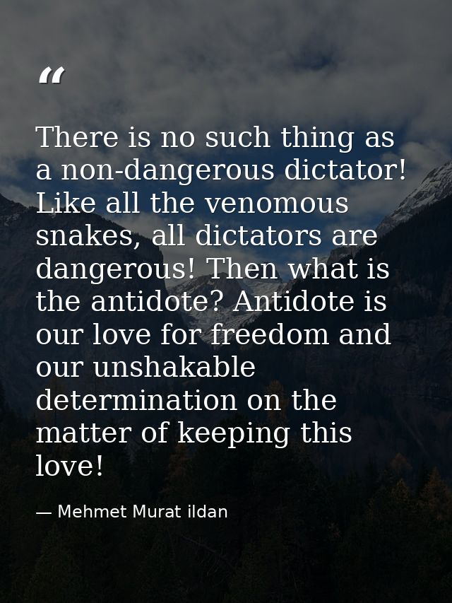 There is no such thing as a non-dangerous dictator! Like all the venomous snakes, all dictators are dangerous! Then what — Mehmet Murat ildan